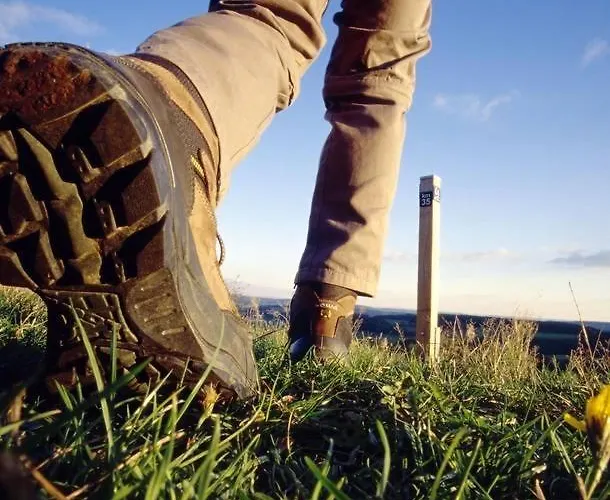 Appartement Traumwohnung 5 Min Zum Bike Park Willingen (Upland)